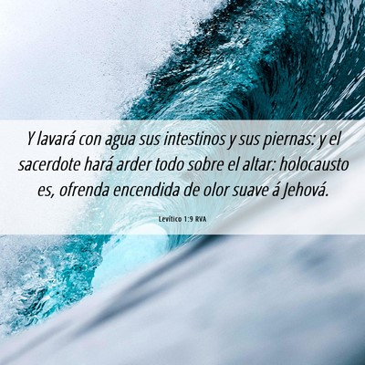 Picture 06 - Levítico 1:9 RVA - Y lavará con agua sus intestinos y sus piernas: - Bible Verse Picture