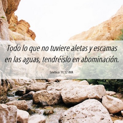 Picture 06 - Levítico 11:12 RVA - Todo lo que no tuviere aletas y escamas en las - Bible Verse Picture