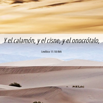 Picture 06 - Levítico 11:18 RVA - Y el calamón, y el cisne, y el - Bible Verse Picture
