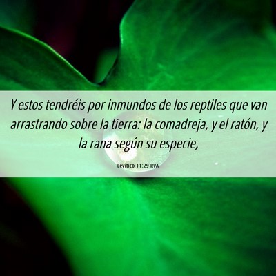 Picture 06 - Levítico 11:29 RVA - Y estos tendréis por inmundos de los reptiles - Bible Verse Picture