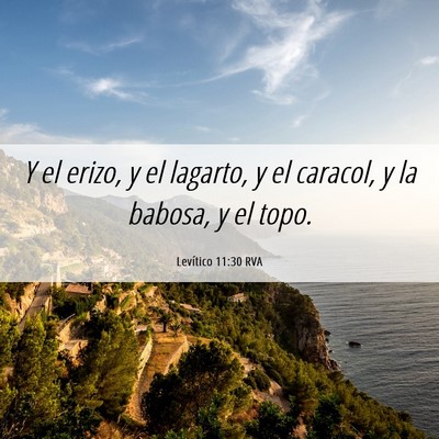 Picture 06 - Levítico 11:30 RVA - Y el erizo, y el lagarto, y el caracol, y la - Bible Verse Picture