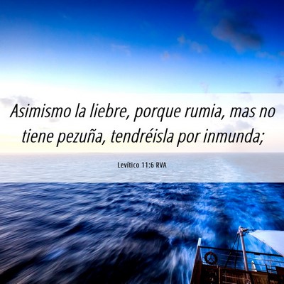 Picture 06 - Levítico 11:6 RVA - Asimismo la liebre, porque rumia, mas no tiene - Bible Verse Picture