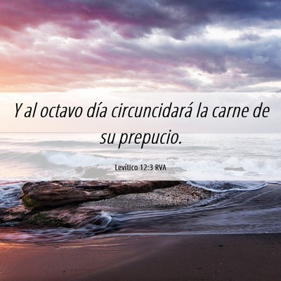 Picture 06 - Levítico 12:3 RVA - Y al octavo día circuncidará la carne de su - Bible Verse Picture