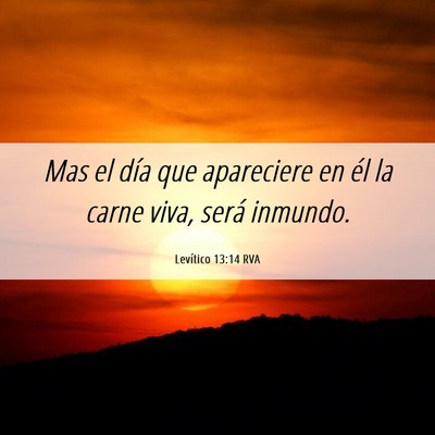 Picture 06 - Levítico 13:14 RVA - Mas el día que apareciere en él la carne viva, - Bible Verse Picture