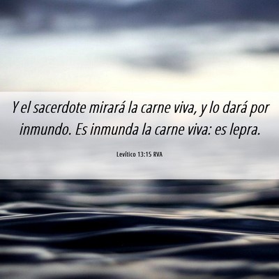 Picture 06 - Levítico 13:15 RVA - Y el sacerdote mirará la carne viva, y lo dará - Bible Verse Picture