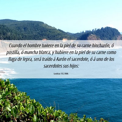 Picture 06 - Levítico 13:2 RVA - Cuando el hombre tuviere en la piel de su carne - Bible Verse Picture