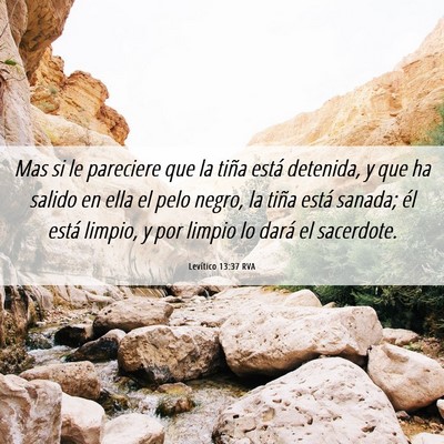 Picture 06 - Levítico 13:37 RVA - Mas si le pareciere que la tiña está detenida, - Bible Verse Picture