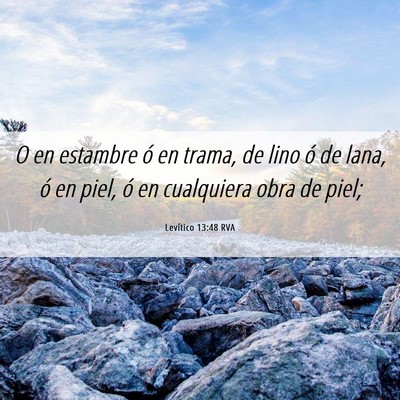 Picture 06 - Levítico 13:48 RVA - O en estambre ó en trama, de lino ó de lana, ó - Bible Verse Picture