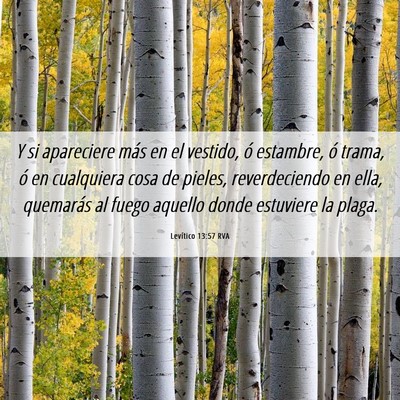 Picture 06 - Levítico 13:57 RVA - Y si apareciere más en el vestido, ó estambre, - Bible Verse Picture
