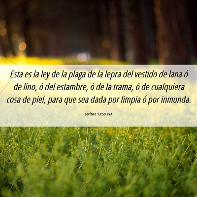 Picture 06 - Levítico 13:59 RVA - Esta es la ley de la plaga de la lepra del - Bible Verse Picture