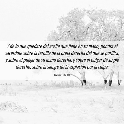 Picture 06 - Levítico 14:17 RVA - Y de lo que quedare del aceite que tiene en su - Bible Verse Picture