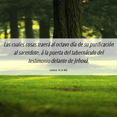 Picture 06 - Levítico 14:23 RVA - Las cuales cosas traerá al octavo día de su - Bible Verse Picture