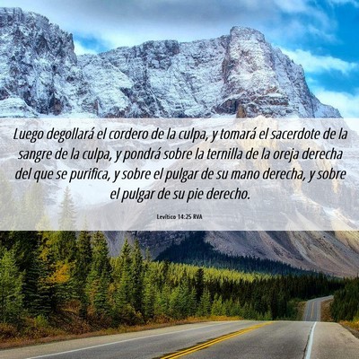 Picture 06 - Levítico 14:25 RVA - Luego degollará el cordero de la culpa, y - Bible Verse Picture