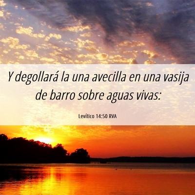 Picture 06 - Levítico 14:50 RVA - Y degollará la una avecilla en una vasija de - Bible Verse Picture