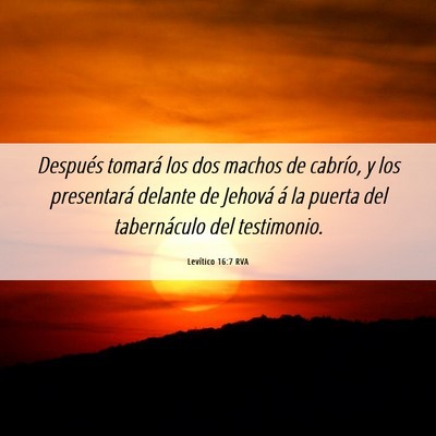 Picture 06 - Levítico 16:7 RVA - Después tomará los dos machos de cabrío, y los - Bible Verse Picture