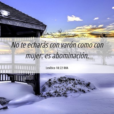 Picture 06 - Levítico 18:22 RVA - No te echarás con varón como con mujer: es - Bible Verse Picture