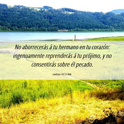 Picture 06 - Levítico 19:17 RVA - No aborrecerás á tu hermano en tu corazón: - Bible Verse Picture