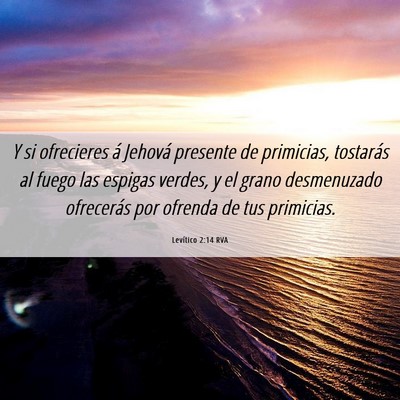 Picture 06 - Levítico 2:14 RVA - Y si ofrecieres á Jehová presente de primicias, - Bible Verse Picture