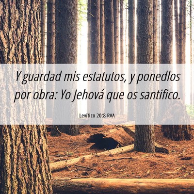 Picture 06 - Levítico 20:8 RVA - Y guardad mis estatutos, y ponedlos por obra: Yo - Bible Verse Picture
