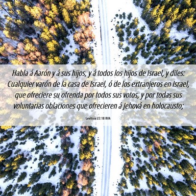 Picture 06 - Levítico 22:18 RVA - Habla á Aarón y á sus hijos, y á todos los - Bible Verse Picture