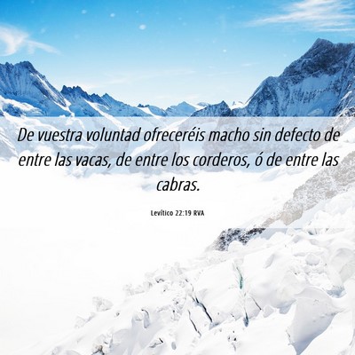 Picture 06 - Levítico 22:19 RVA - De vuestra voluntad ofreceréis macho sin defecto - Bible Verse Picture