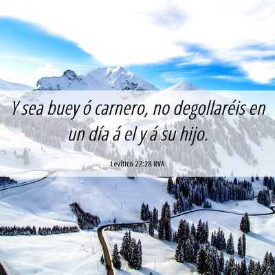 Picture 06 - Levítico 22:28 RVA - Y sea buey ó carnero, no degollaréis en un día - Bible Verse Picture