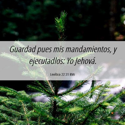 Picture 06 - Levítico 22:31 RVA - Guardad pues mis mandamientos, y ejecutadlos: Yo - Bible Verse Picture