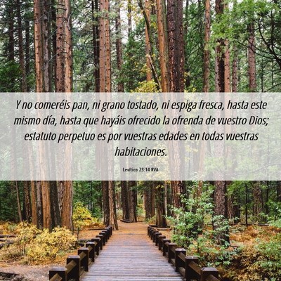 Picture 06 - Levítico 23:14 RVA - Y no comeréis pan, ni grano tostado, ni espiga - Bible Verse Picture