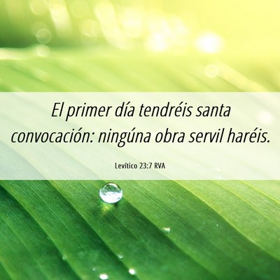 Picture 06 - Levítico 23:7 RVA - El primer día tendréis santa convocación: - Bible Verse Picture