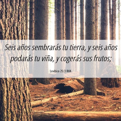 Picture 06 - Levítico 25:3 RVA - Seis años sembrarás tu tierra, y seis años - Bible Verse Picture