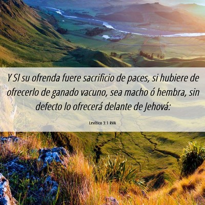 Picture 06 - Levítico 3:1 RVA - Y SI su ofrenda fuere sacrificio de paces, si - Bible Verse Picture