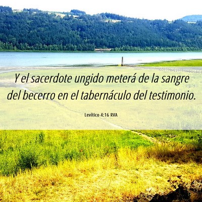 Picture 06 - Levítico 4:16 RVA - Y el sacerdote ungido meterá de la sangre del - Bible Verse Picture