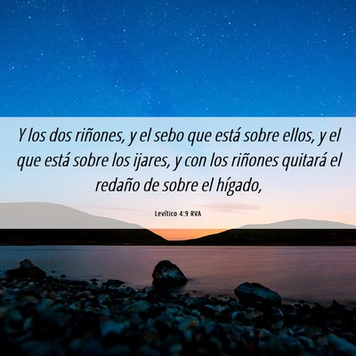 Picture 06 - Levítico 4:9 RVA - Y los dos riñones, y el sebo que está sobre - Bible Verse Picture