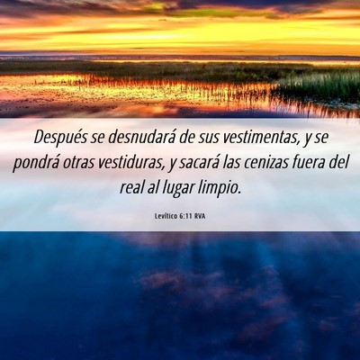 Picture 06 - Levítico 6:11 RVA - Después se desnudará de sus vestimentas, y se - Bible Verse Picture