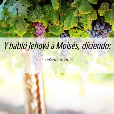 Picture 06 - Levítico 6:24 RVA - Y habló Jehová á Moisés, - Bible Verse Picture