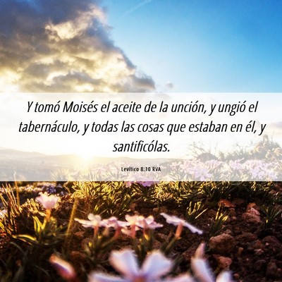 Picture 06 - Levítico 8:10 RVA - Y tomó Moisés el aceite de la unción, y ungió - Bible Verse Picture