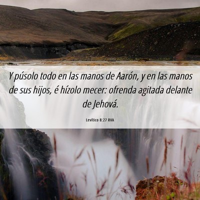 Picture 06 - Levítico 8:27 RVA - Y púsolo todo en las manos de Aarón, y en las - Bible Verse Picture