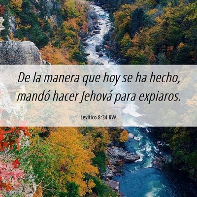 Picture 06 - Levítico 8:34 RVA - De la manera que hoy se ha hecho, mandó hacer - Bible Verse Picture