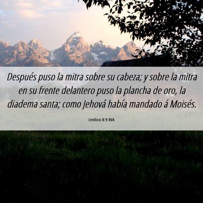 Picture 06 - Levítico 8:9 RVA - Después puso la mitra sobre su cabeza; y sobre - Bible Verse Picture