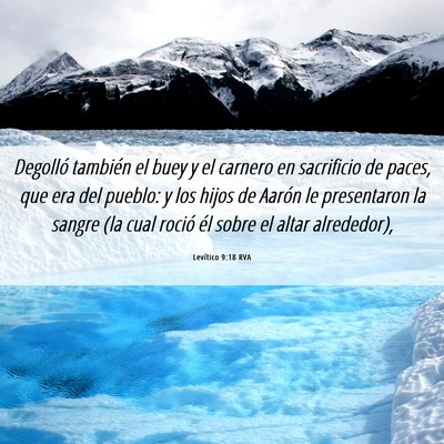 Picture 06 - Levítico 9:18 RVA - Degolló también el buey y el carnero en - Bible Verse Picture