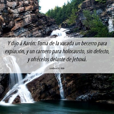 Picture 06 - Levítico 9:2 RVA - Y dijo á Aarón: Toma de la vacada un becerro - Bible Verse Picture