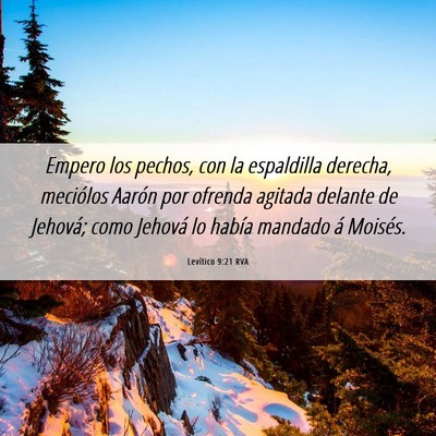 Picture 06 - Levítico 9:21 RVA - Empero los pechos, con la espaldilla derecha, - Bible Verse Picture