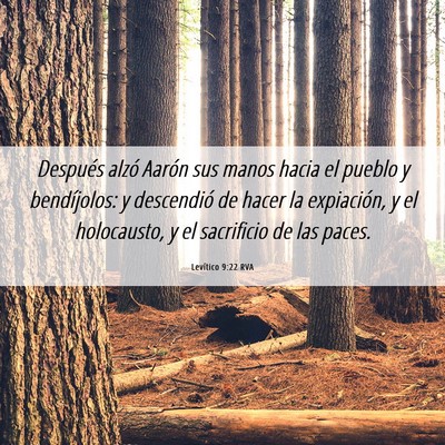 Picture 06 - Levítico 9:22 RVA - Después alzó Aarón sus manos hacia el pueblo y - Bible Verse Picture