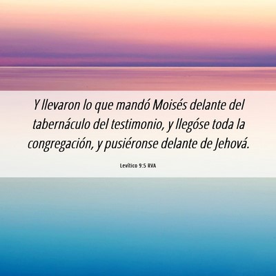 Picture 06 - Levítico 9:5 RVA - Y llevaron lo que mandó Moisés delante del - Bible Verse Picture