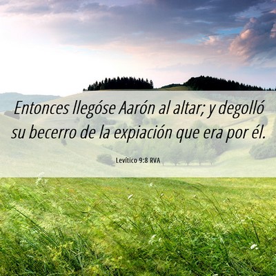 Picture 06 - Levítico 9:8 RVA - Entonces llegóse Aarón al altar; y degolló su - Bible Verse Picture