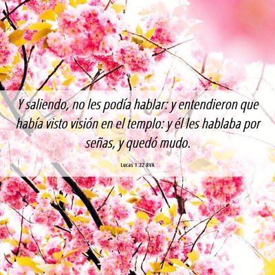 Picture 06 - Lucas 1:22 RVA - Y saliendo, no les podía hablar: y entendieron - Bible Verse Picture