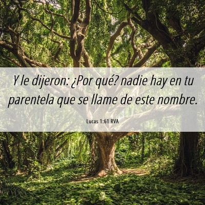Picture 06 - Lucas 1:61 RVA - Y le dijeron: ¿Por qué? nadie hay en tu - Bible Verse Picture