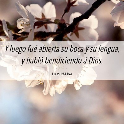 Picture 06 - Lucas 1:64 RVA - Y luego fué abierta su boca y su lengua, y - Bible Verse Picture