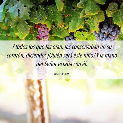 Picture 06 - Lucas 1:66 RVA - Y todos los que las oían, las conservaban en su - Bible Verse Picture