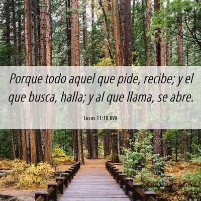 Picture 06 - Lucas 11:10 RVA - Porque todo aquel que pide, recibe; y el que - Bible Verse Picture